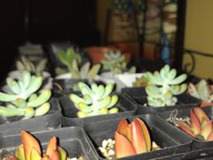-密讯馆密室逃脱&换装侦探剧(环球港旗舰店)
