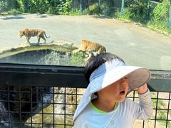 -大连森林动物园