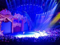 -珠海横琴长隆《卡卡虎奇遇记》