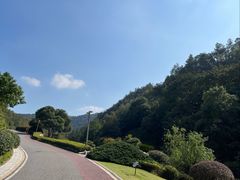 -桃花岭景区