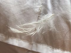 -红星美凯龙(北京北四环店)