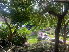 -清迈夜间动物园