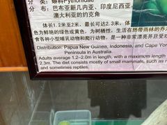 -上海大自然野生昆虫馆(东方明珠·爬宠昆虫探索中心)
