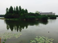 -江南大学(蠡湖校区)
