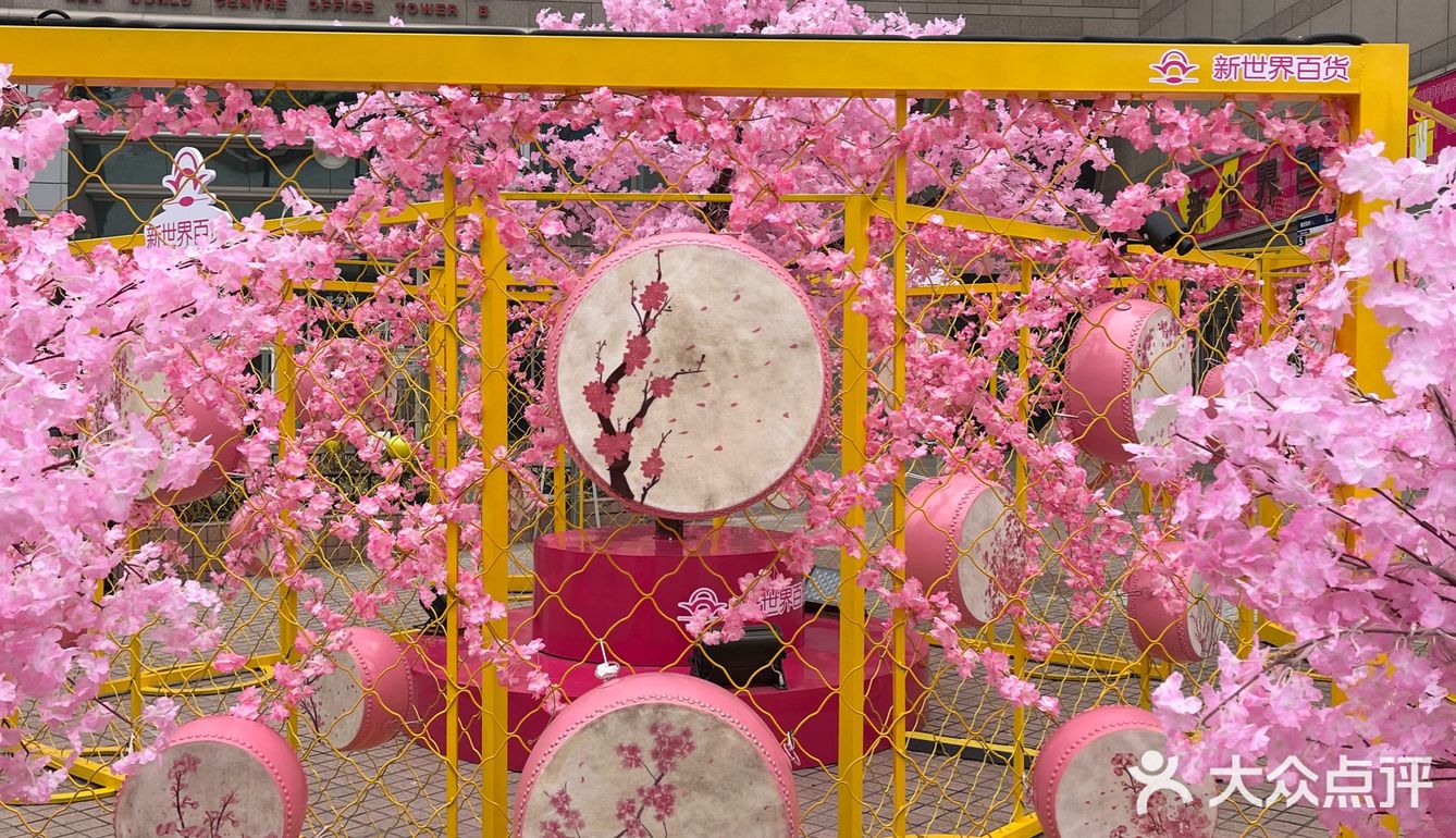 满树樱花朵朵开，花花世界的，出来逛街啊