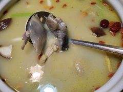 -金龙·打边炉(南京西路店)