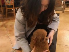 -more than meow吴止猫主题餐厅(承德 中船汇店)