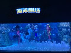 -南昌海洋公园