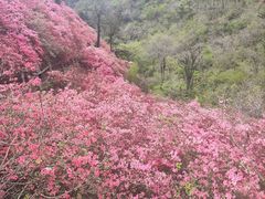 -木兰云雾山