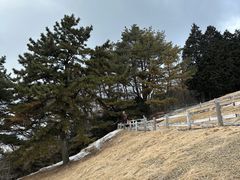 -神户市立六甲山牧场
