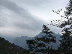 -武陵山森林公园