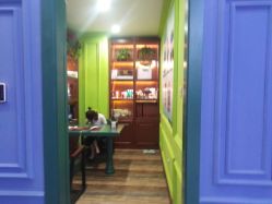 -东晨宝格丽品质造型