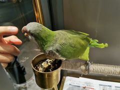 -乌江鱼杭帮菜(西湖店)