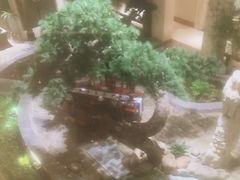 -顺峰(农展馆店)
