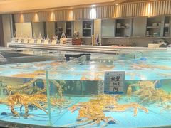 -渔傅·霞浦滩涂海鲜(建平店)