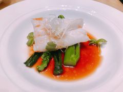 头抽蒸鱼斑件-8餐厅(新葡京酒店)