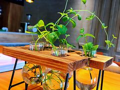 -ZING COFFEE 镜咖啡