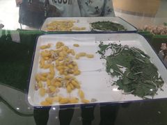 -上海昆虫博物馆