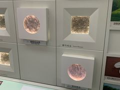 -中国茶叶博物馆(双峰馆区)