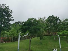 -白石龙音乐公园