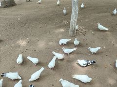 -荆州中山公园动物园