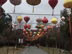 -敬亭山风景名胜区