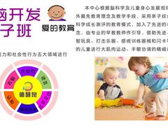 -德慧泉全脑潜能开发教育发展中心