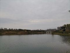 -眉山湿地公园(东坡区)