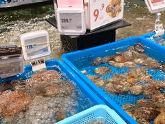 水产区-盒马鲜生(皇庭广场店)