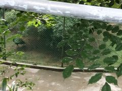 -广东茂名森林公园