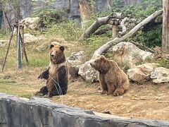 -武汉动物园