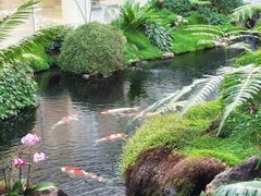 -罗红摄影艺术馆