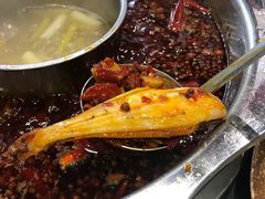 -大龙火锅(老店)