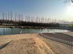 -前小桔亲子创意农场·草莓采摘·露营烧烤