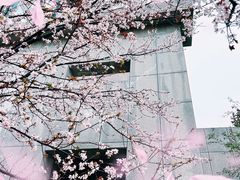 -徐图港(地铁站)
