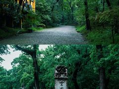 -灵谷景区