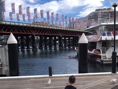 -悉尼海洋生物水族馆