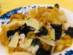 三鲜烩鱼肚-清真·安乐园菜馆(茶南店)