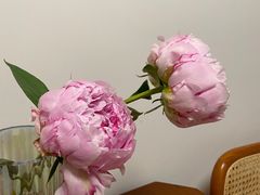 -何兮花店·气球派对鲜花店(马桥银春路万科城店)