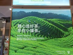 -小罐茶(济南恒隆广场店)