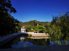 -南普陀寺