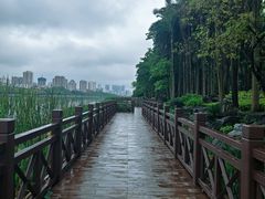 -南宁南湖公园