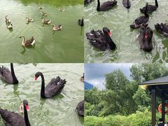 -杭州野生动物世界