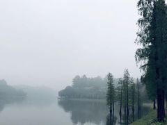 -南国桃园旅游度假区