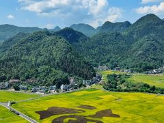 -万峰林风景区