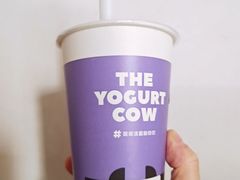 -一只酸奶牛(丹尼斯大卫城店)