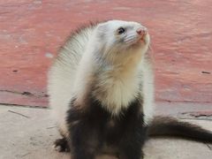 -杭州野生动物世界