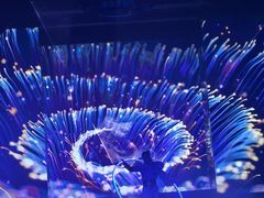 -波塞冬旅游度假区