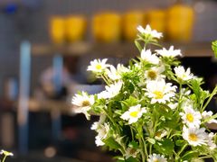 -Primo·丽莫意大利窑烤披萨