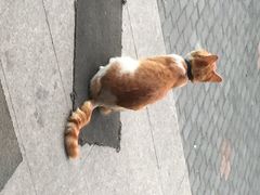 好面道大肠面-好面道大肠面(中华路店)